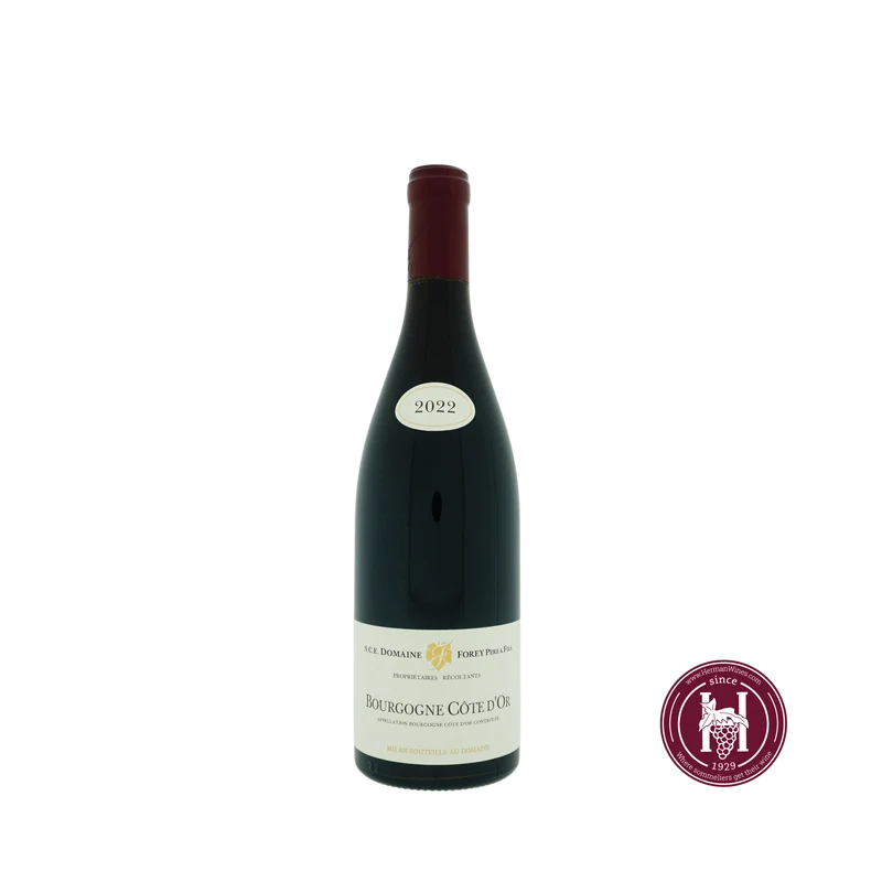 Bourgogne Cote d'Or - Domaine Forey Pere & Fils - 2022 - 0.75 L - Frankrijk - Bourgogne - Rood