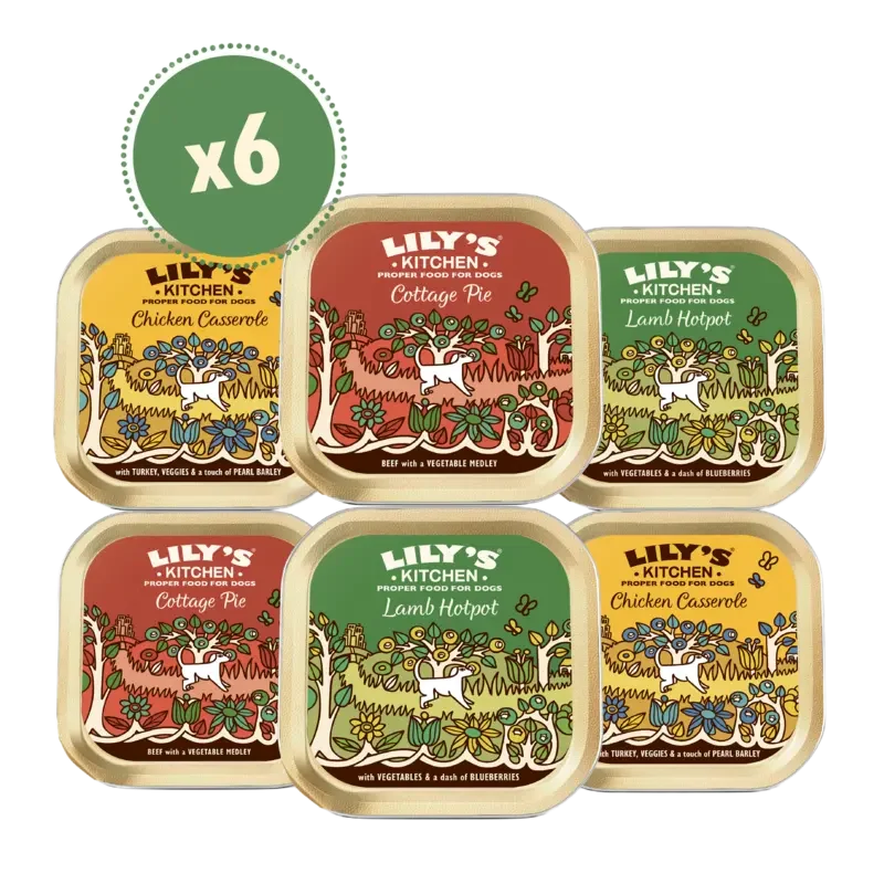 Lily's Kitchen Classic dinners diverse smaken 6-pack