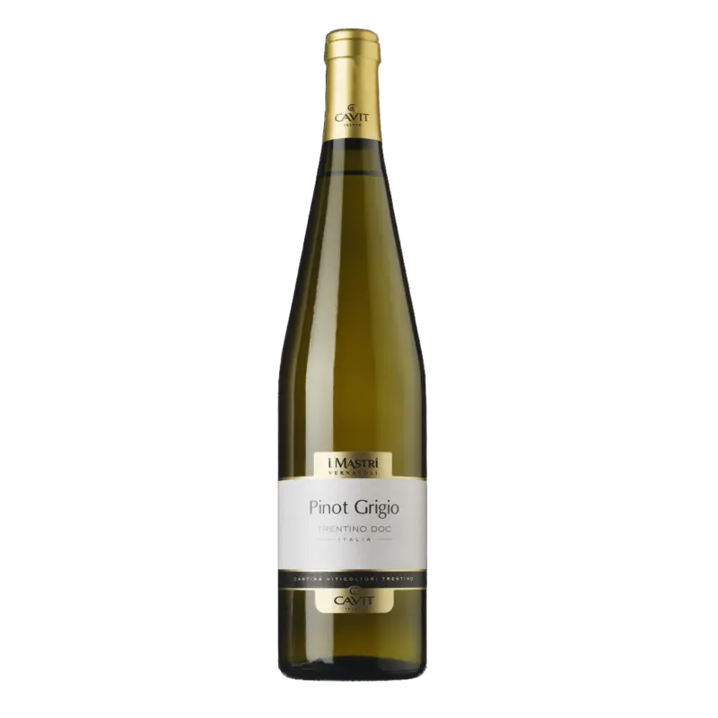 Mastri Vernacoli Pinot grigio