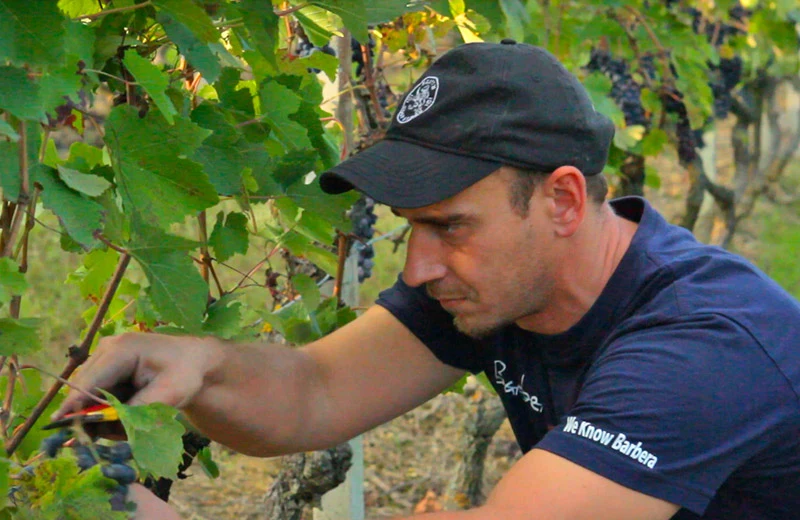 San Bastian Barbera d’Asti 2022 DOCG