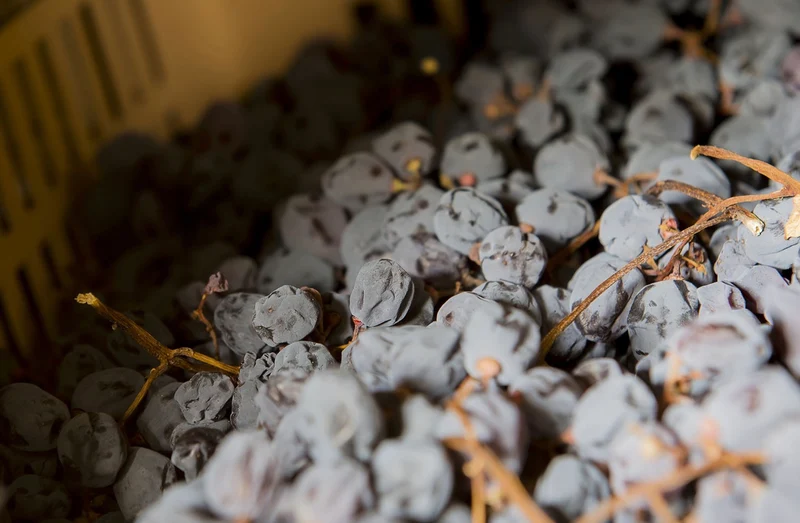 Amarone Riserva DOCG 2019