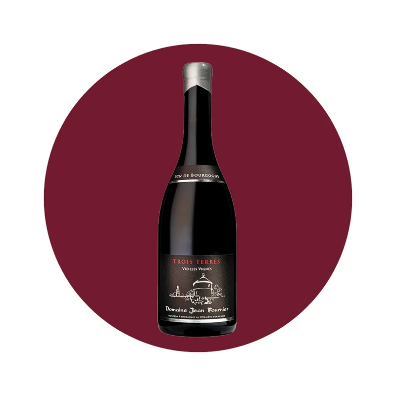 Domaine Jean Fournier - Trois Terres VV 2024