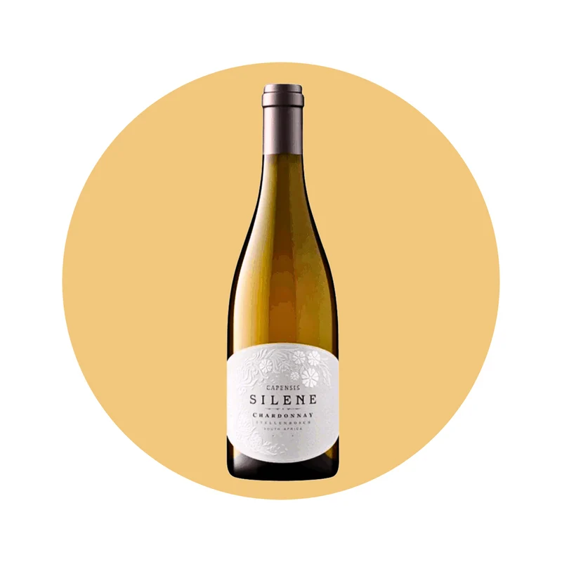 Capensis - Silene 'Chardonnay' 2020