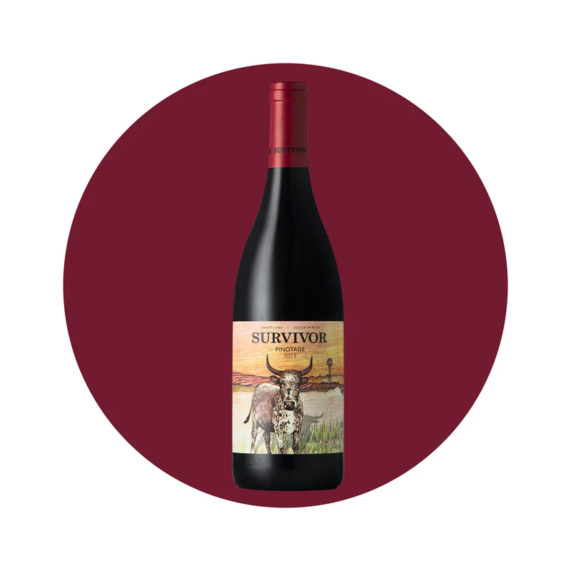 Survivor 'Pinotage'