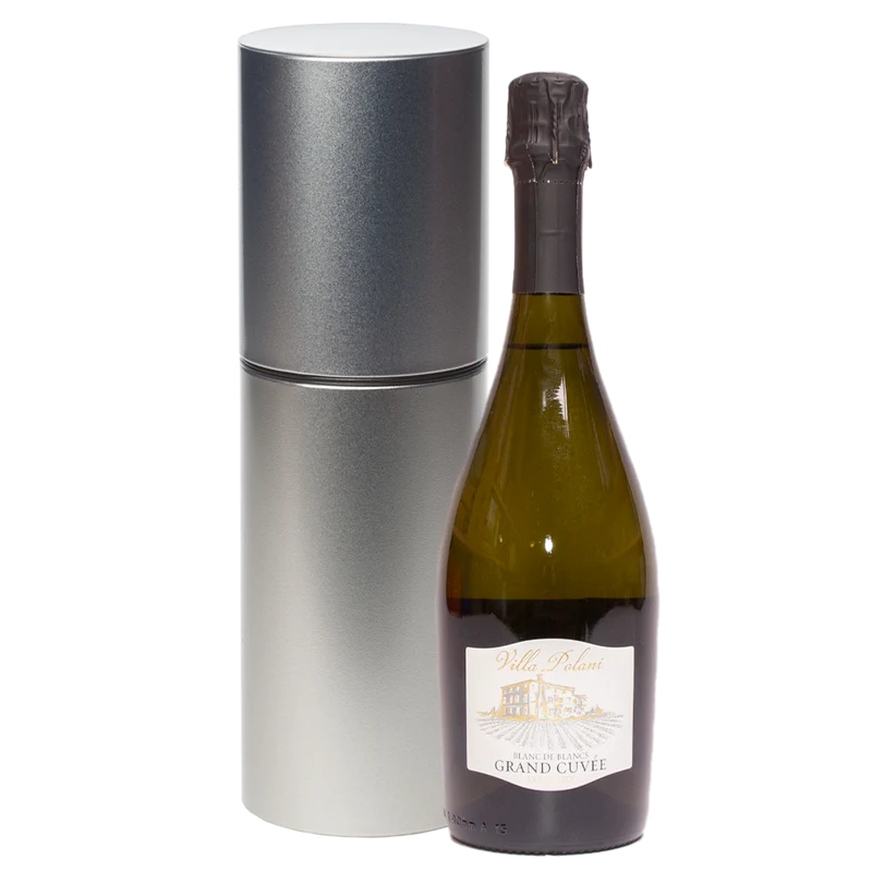 Wijncadeau Villa Polani met wijnkoker 1-vak champagne