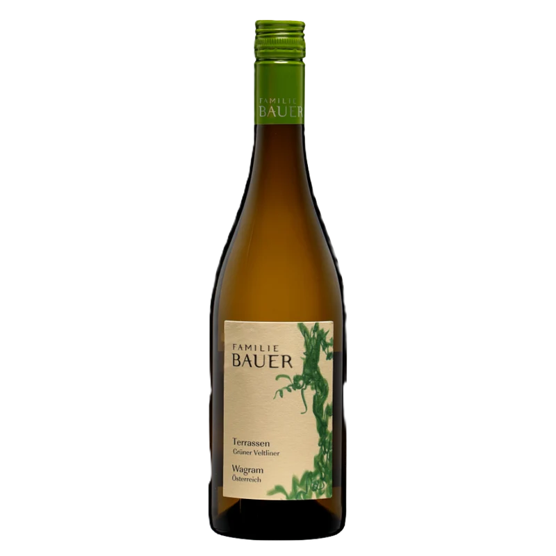BAUER Grüner Veltliner Terrassen 2025