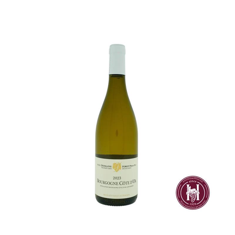 Bourgogne Blanc Cote d'Or - Domaine Forey Pere & Fils - 2023 - 0.75 L - Frankrijk - Bourgogne - Wit