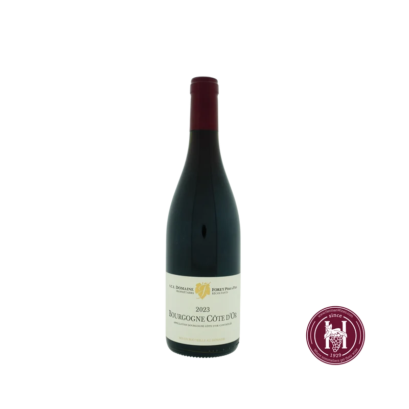 Bourgogne Cote d'Or - Domaine Forey Pere & Fils - 2023 - 0.75 L - Frankrijk - Bourgogne - Rood