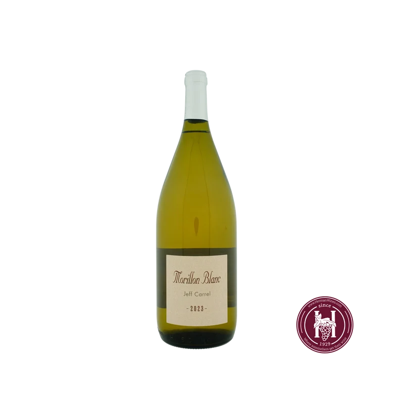 Morillon by Jeff Carrel - Jeff Carrel - 2023 - Frankrijk - Languedoc-Roussillon - Wit