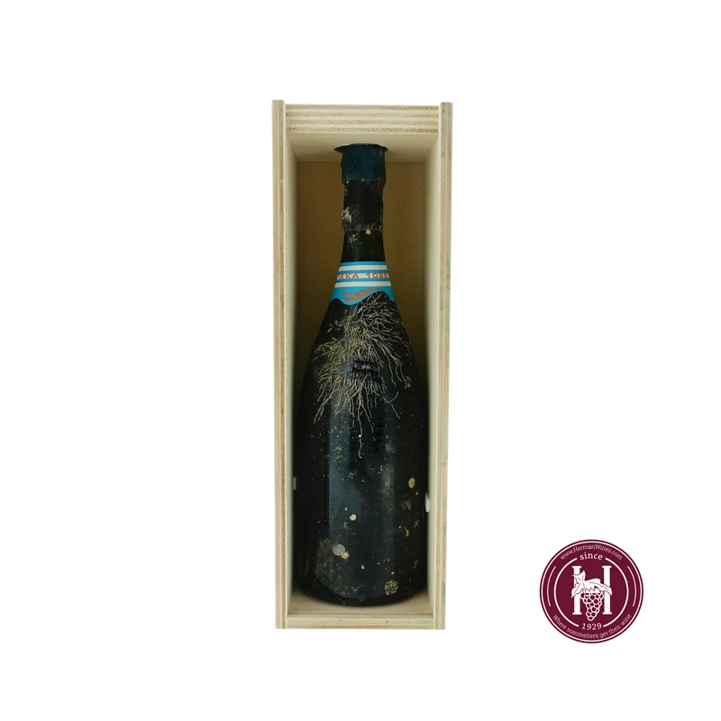Vikka Blanc de Blancs - Champagne M. Hostomme - 2010 - Frankrijk - Champagne - Wit