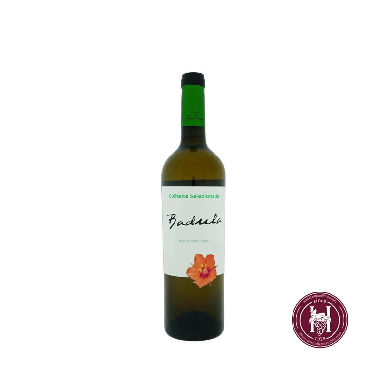 Badula Colheita Selecionada white - Quinta da Badula - 2023 - 0.75 L - Portugal - Tejo - Wit