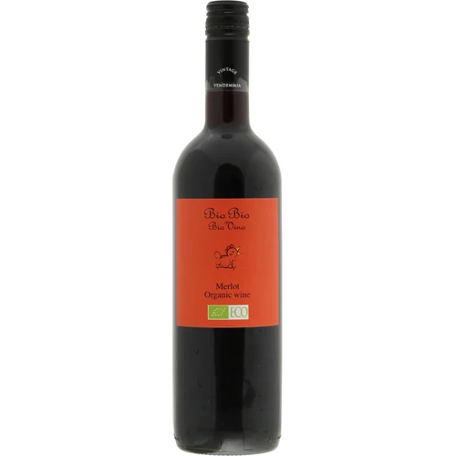 Cielo e Terra uva Bio Bio Merlot