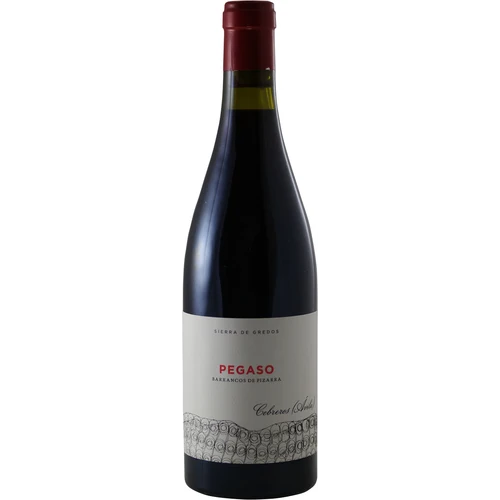 Telmo Rodriguez Pegaso Barrancos de Pizarra 2013