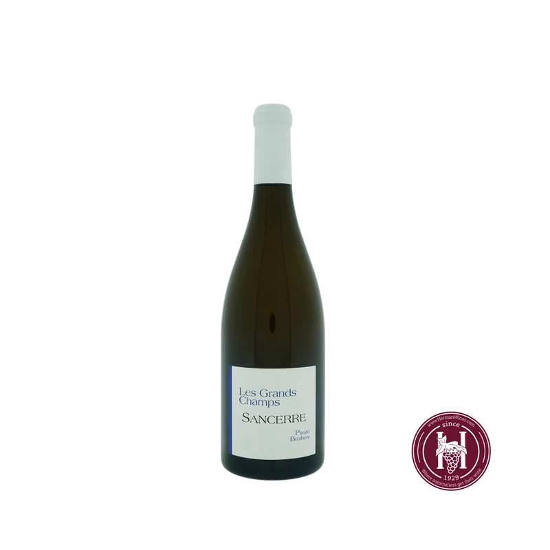 Sancerre les Grands Champs - Pinard Brothers - 2023 - 0.75 L - Frankrijk - Loire - Wit