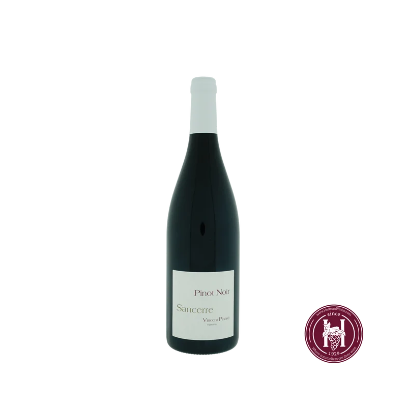 Sancerre Pinot Noir - Domaine Vincent Pinard - 2023 - 0.75 L - Frankrijk - Loire - Rood