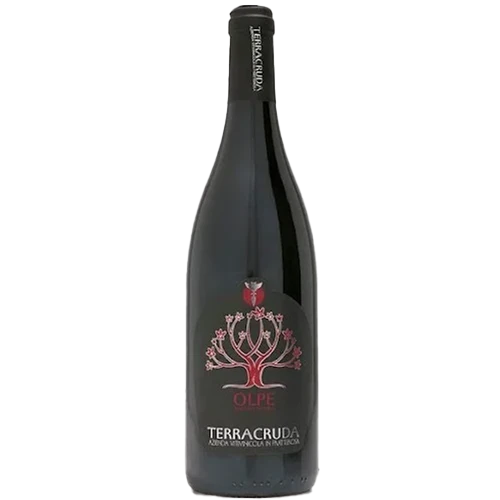 Terracruda Olpe Sangiovese Colli Pesarese Riserva