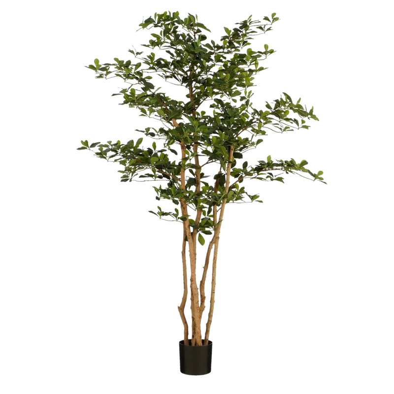 Kunstplant Olijfboom in Pot - H183 x Ø130 cm - Groen