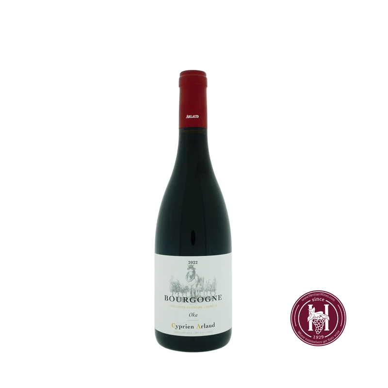 Bourgogne Pinot Noir Oka - Cyprien Arlaud - 2022 - 0.75 L - Frankrijk - Bourgogne - Rood