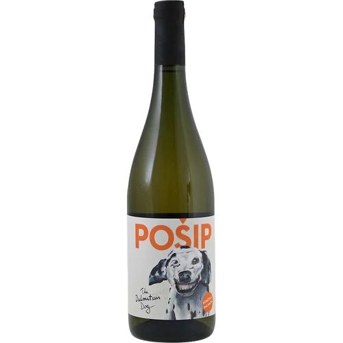 The Dalmatian Dog Posip