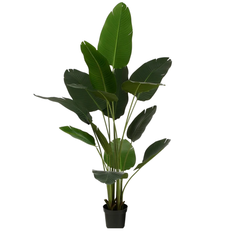 Kunstplant Bananenboom in Pot - H180 x Ø30 cm - Groen