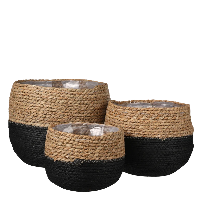 Jorck Mand voor Planten - Set van 3 - H24 x Ø26 cm - Zwart
