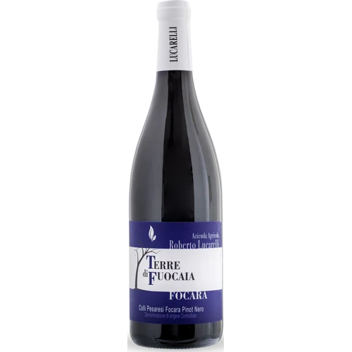 Roberto Lucarelli Focara Pinot Nero Magnum