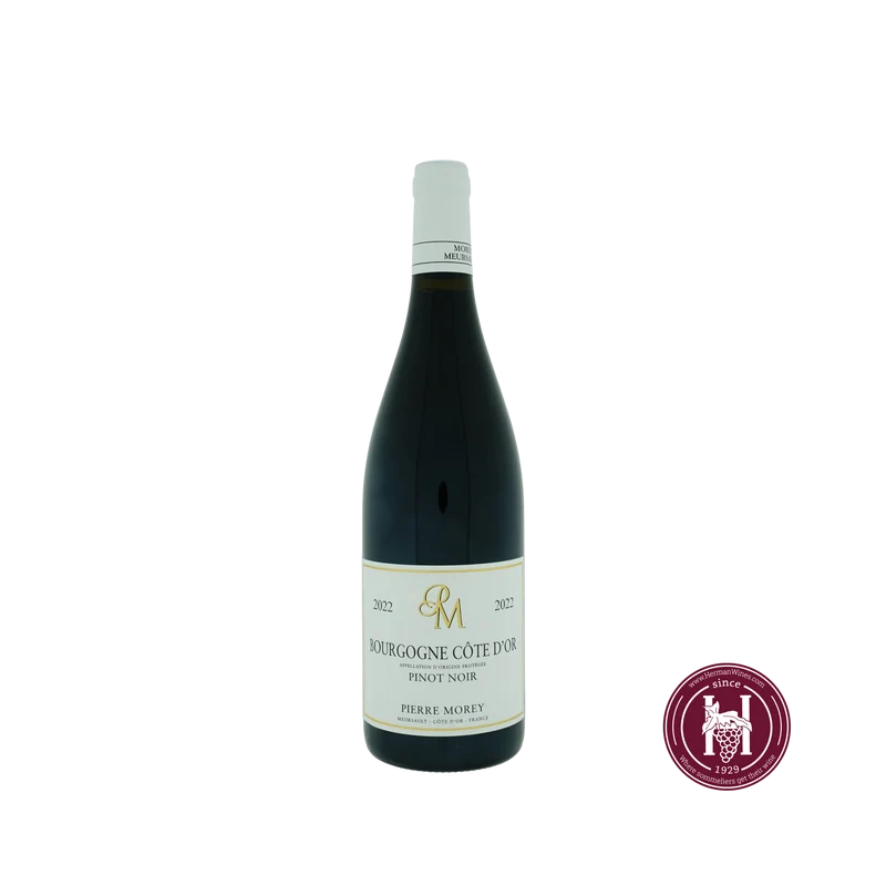 Bourgogne Cote d'Or Pinot Noir - Domaine Pierre Morey - 2022 - 0.75 L - Frankrijk - Bourgogne - Rood