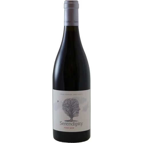 Serendipity Pinot Noir Hemel-en-Aarde Valley 2016