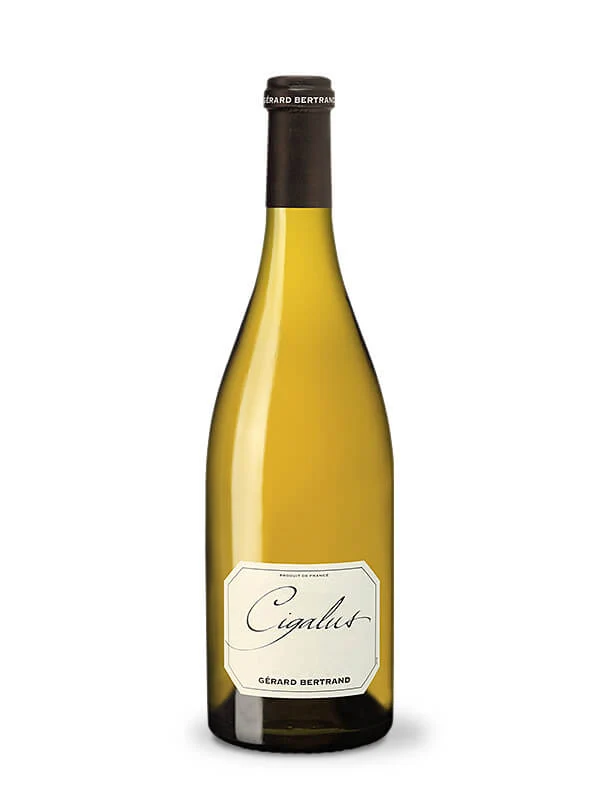 Cigalus IGP Pays d'Oc 2025 – 75cl vin blanc
