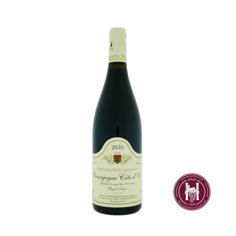 Bourgogne Pinot Noir - Odoul Coquard - 2020 - 0.75L - Frankrijk - Bourgogne - Rood