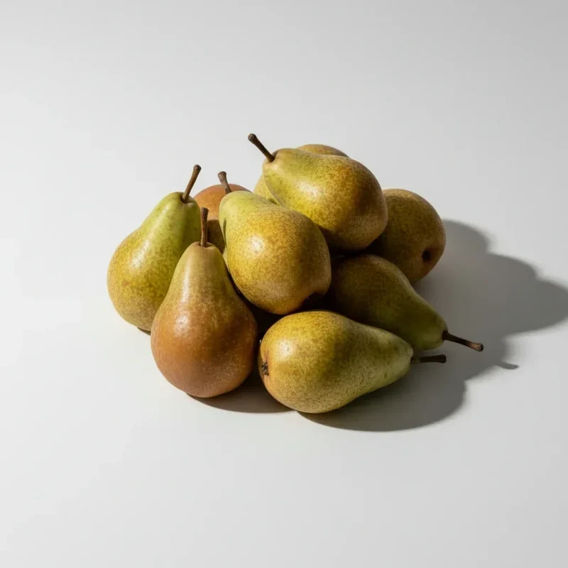 Triumphe peren