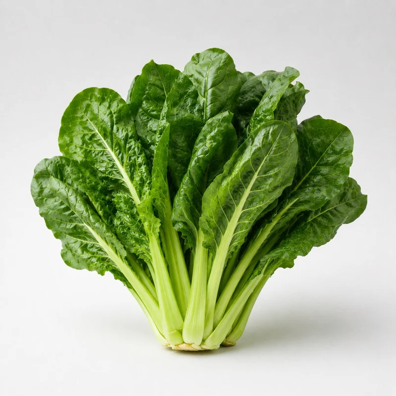 Groene snijbiet