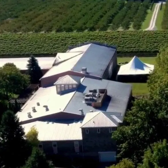 Strewn Winery Select Late Harvest Cabernet – Canadese dessertwijn vol rood fruit en kruidigheid