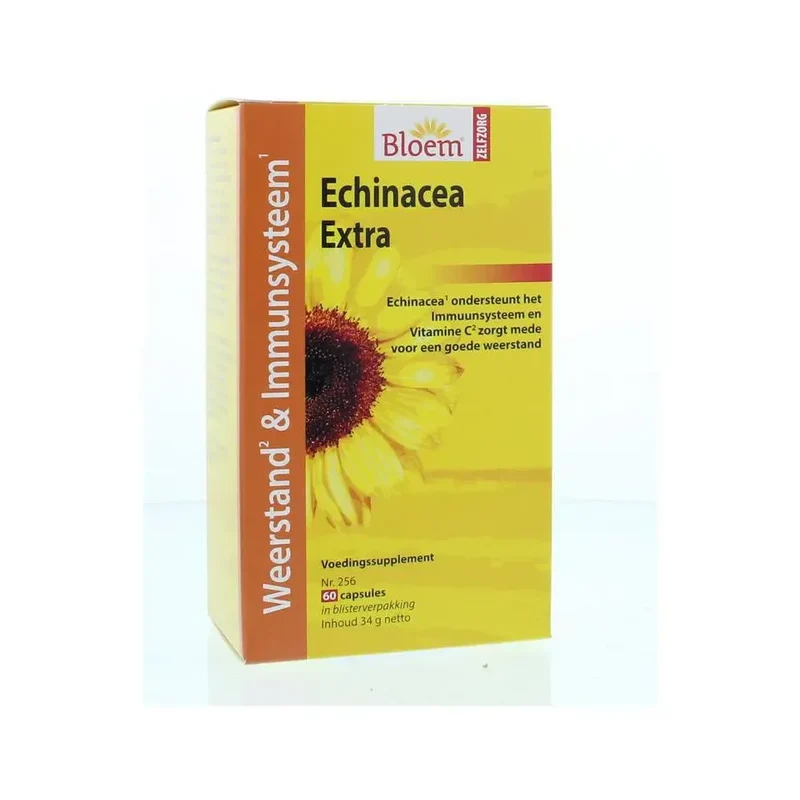 Bloem Echinacea
