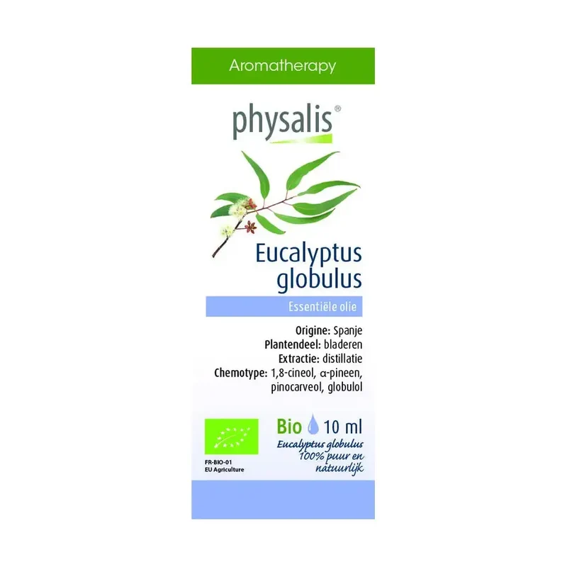 Physalis Eucalyptus globulus