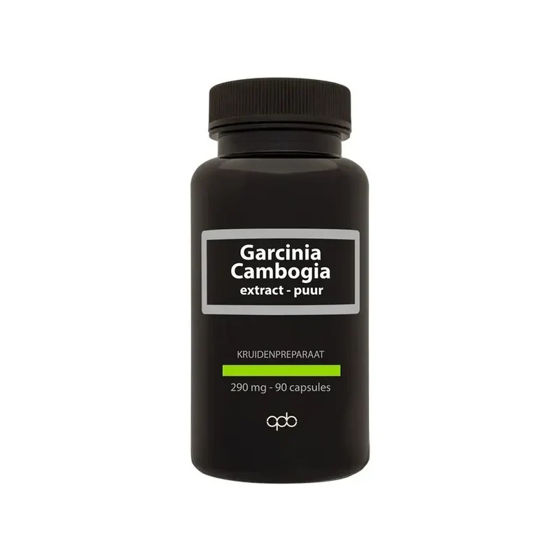 Apb Holland Garcinia cambogia 290 mg puur 90 vcaps