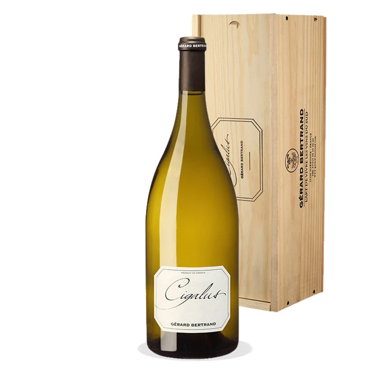 Cigalus IGP Pays d'Oc 2023 – Magnum 150cl vin blanc