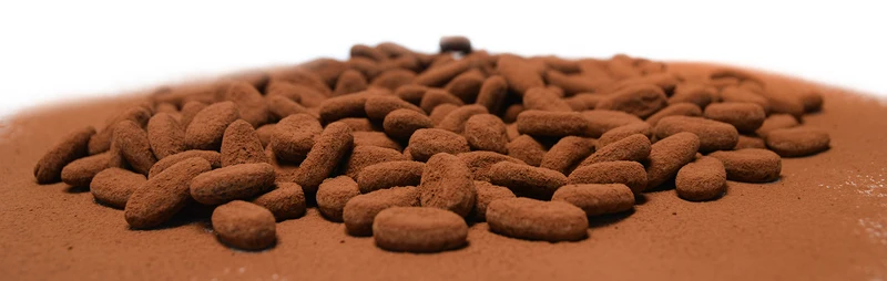 Vegan chocolade Bean to Bean Brasil 66