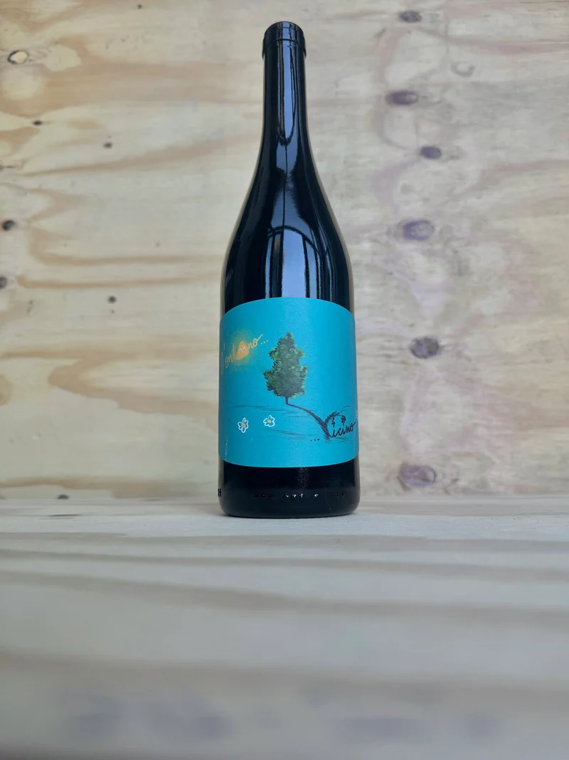 Panevino - L'Ontano Vicino 2024