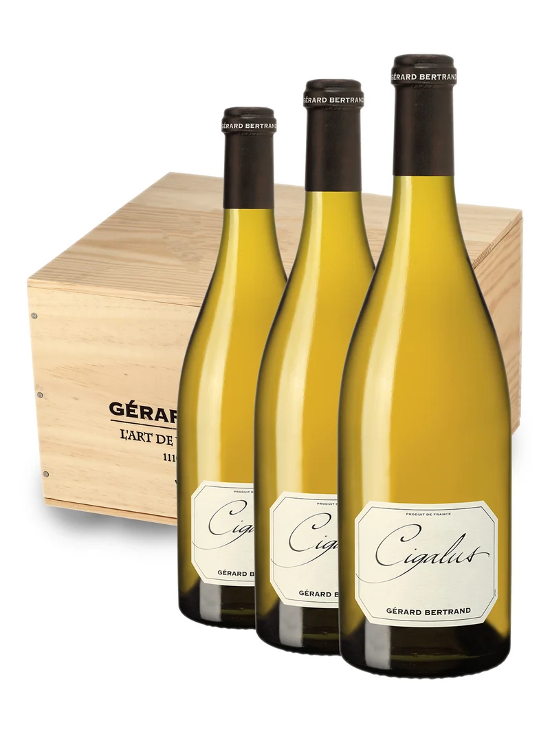 Cigalus IGP Pays d'Oc 2025 – caisse Bois 6 Bouteilles 75cl vin blanc