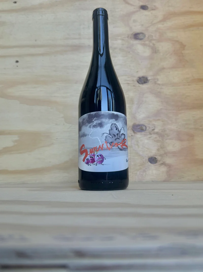 Panevino - Survivant Rosato 2023