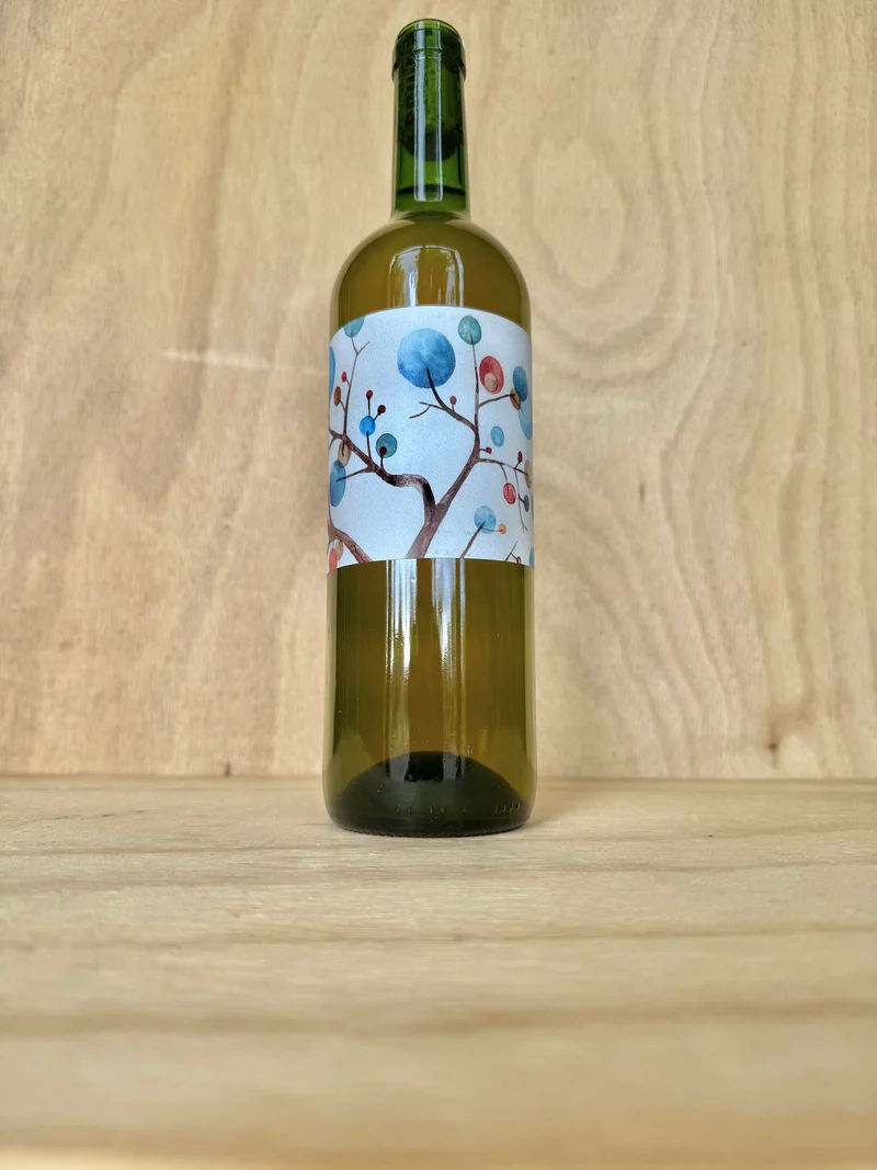 Vins Humus - Curtimenta Curta 2023