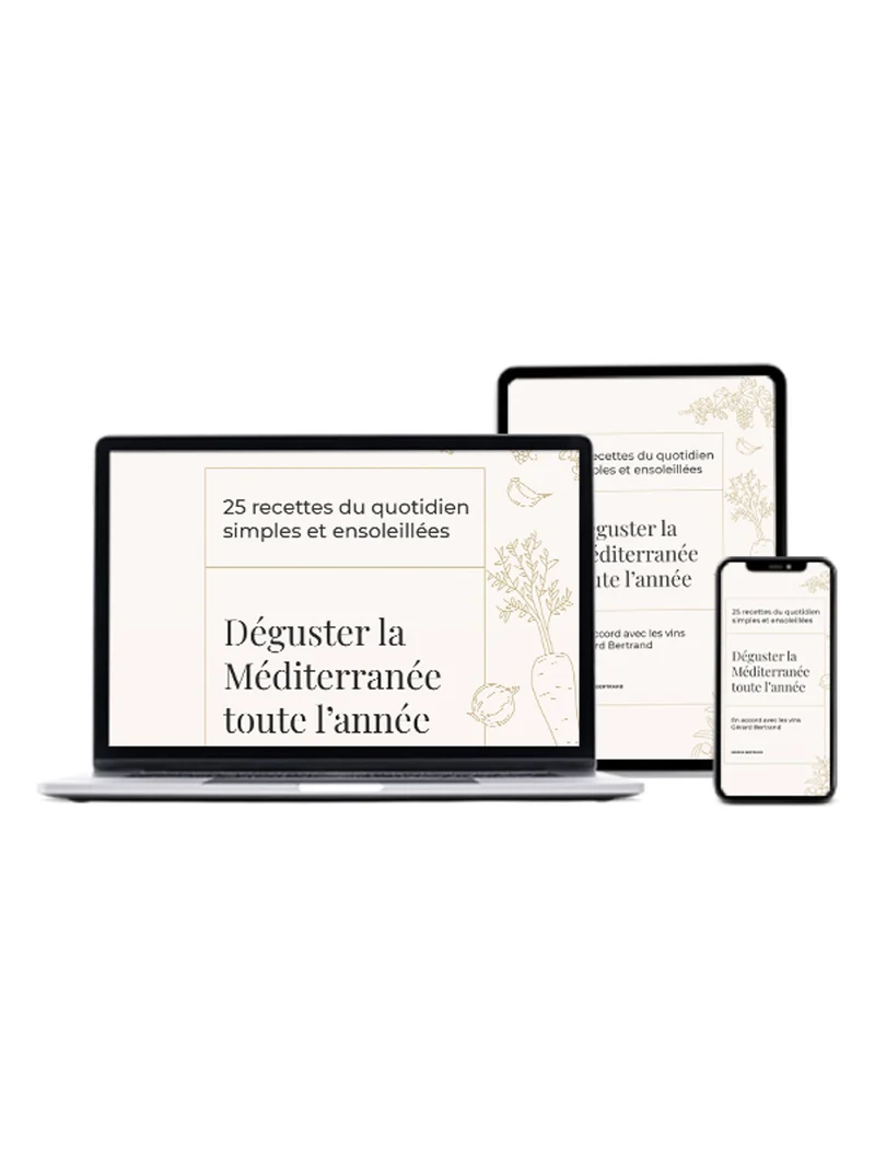 Le parfait ebook recettes du repas méditerranéen